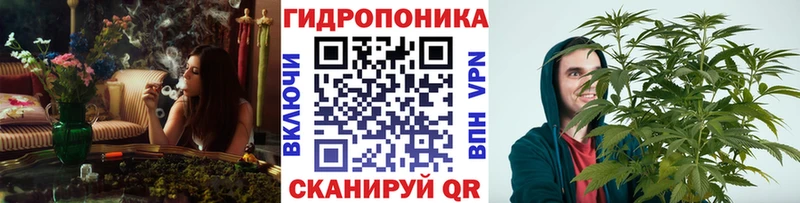 что такое наркотик  Куровское  МАРИХУАНА THC 21% 